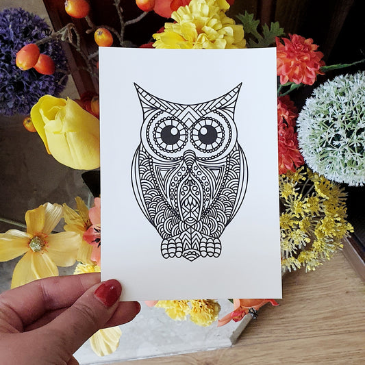 Owl Mandala Postcard